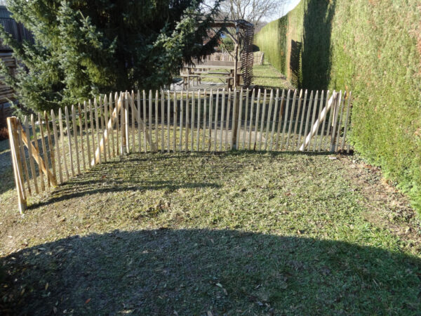 Ganivelle châtaignier sciée écart 5cm