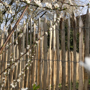 Ganivelles fendues 2 à 3 cm Versailles fontaine