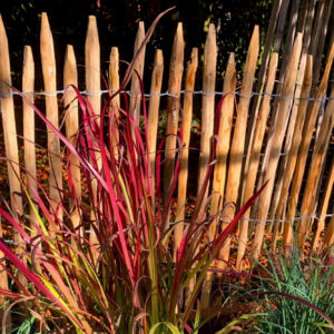 Ganivelles fendues 2 à 3 cm