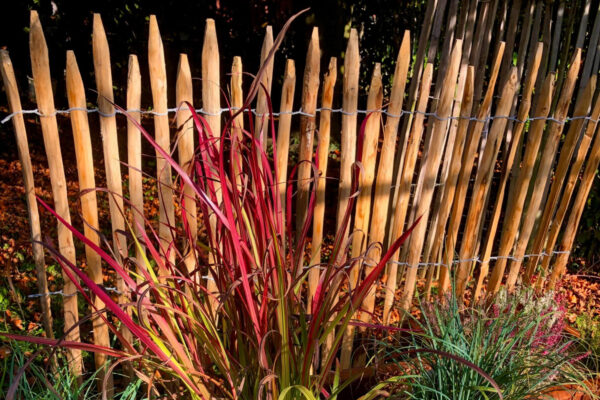 Ganivelles fendues 2 à 3 cm