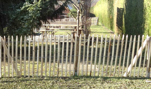 Ganivelle naturelle châtaignier sciée écart 5cm