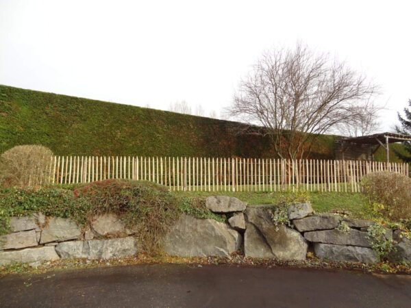 Ganivelle naturelle sciée écart 5cm