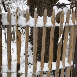 Ganivelle sciée écart 5cm neige