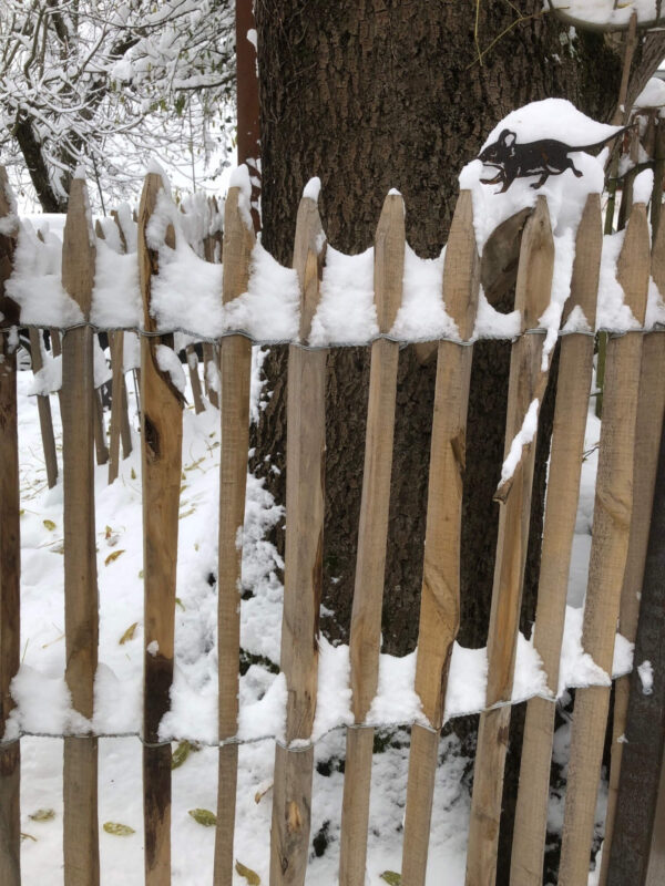 Ganivelle sciée écart 5cm neige