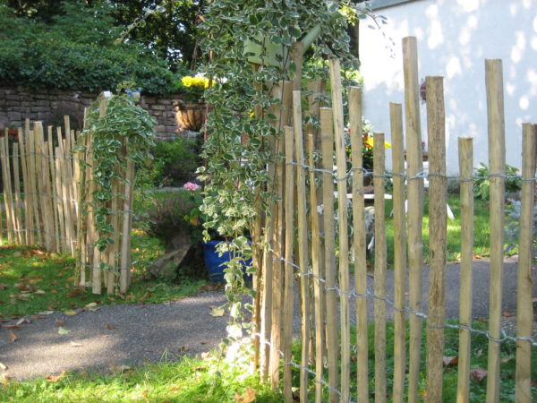 Ganivelle alpilles fendues