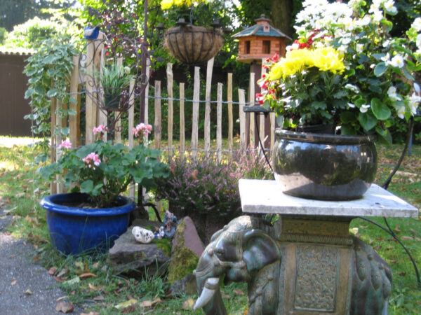 Ganivelle alpilles jardin