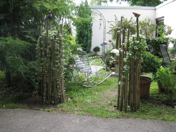 Ganivelle alpilles contour plantes