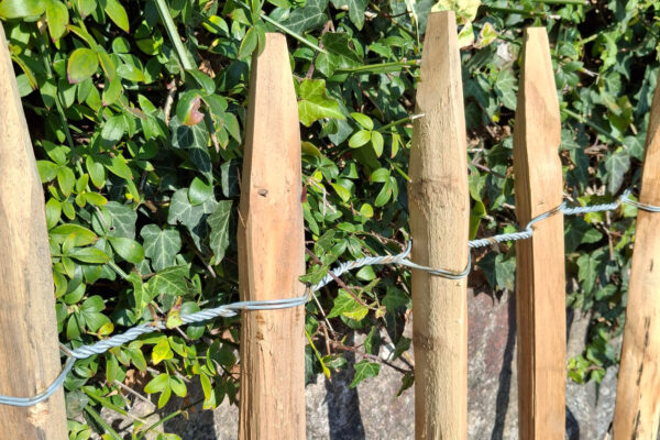 Ganivelles châtaigner naturel fendues écart 8 cm