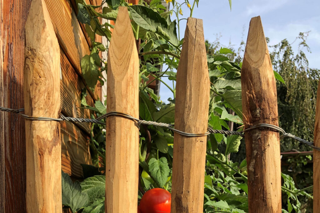 Ganivelles en châtaigner naturel fendues écart 5 cm