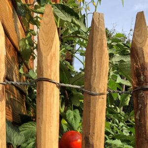 Ganivelles en châtaigner naturel fendues écart 5 cm