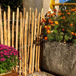 Ganivelles Versailles fontaine