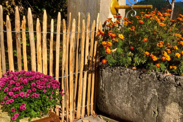 Ganivelles Versailles fontaine