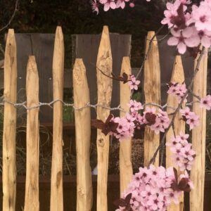 Ganivelles fendues 2 à 3 cm Versailles