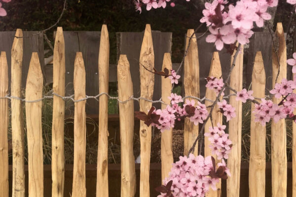 Ganivelles fendues 2 à 3 cm Versailles