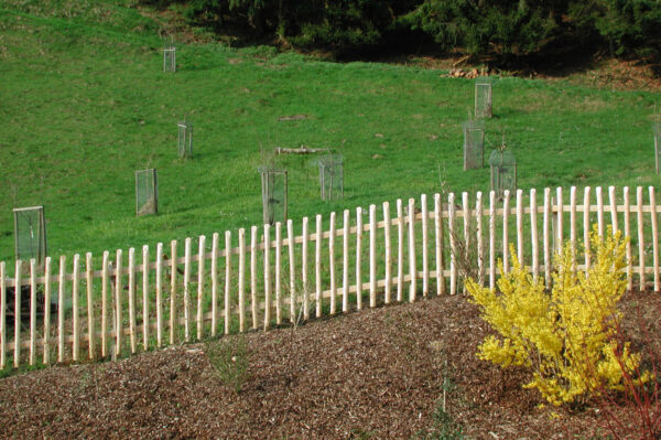 Panneau châtaignier à claire voie écart 5 cm