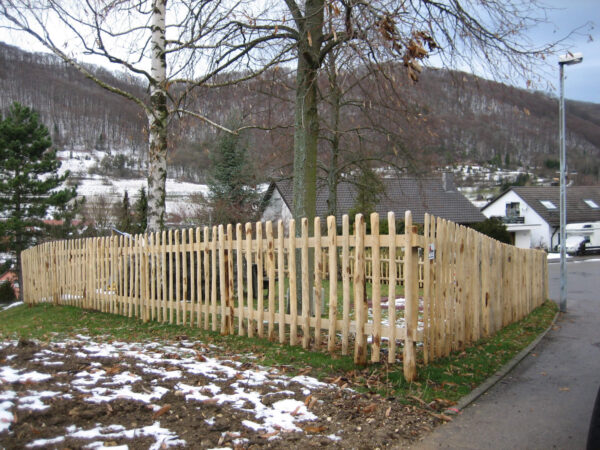 Panneau naturel à claire voie écart 5 cm