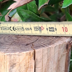 Piquets pointés 10-12 cm