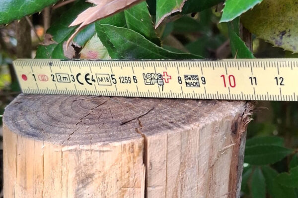 Piquets pointés 10-12 cm