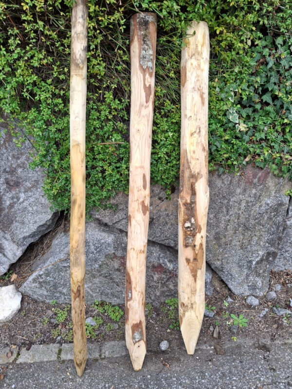 Piquets pointés 10-12 cm diamètres