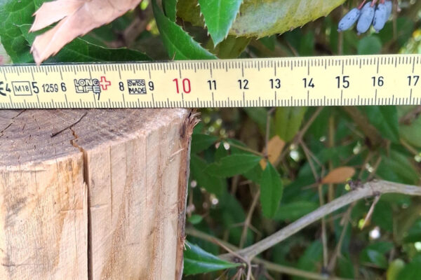 Piquets pointés 10-12 cm largeur