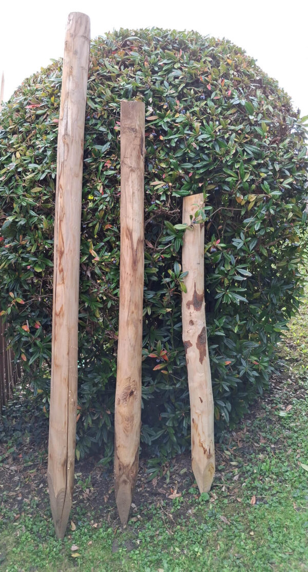 Piquets pointés 10-12 cm tailles