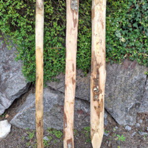 Piquets pointés 6-8cm différents diamètres