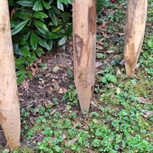 Piquets pointés 6-8cm embouts