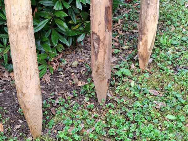 Piquets pointés 6-8cm embouts