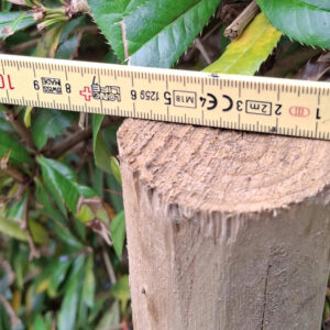 Piquets pointés 6-8cm largueur