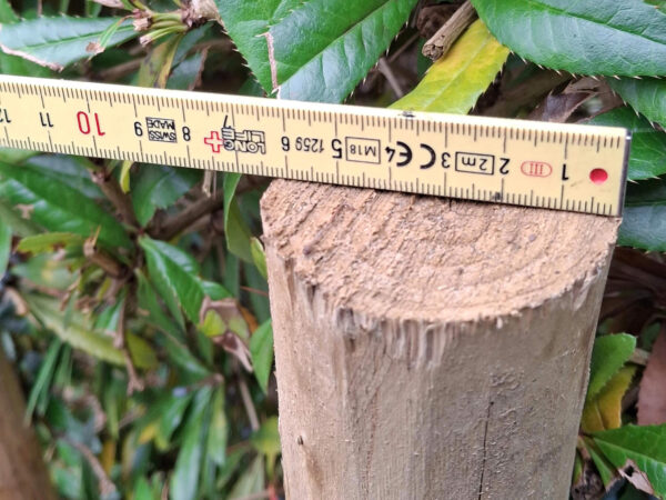 Piquets pointés 6-8cm largueur