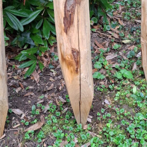 Piquets pointés 7,5-10cm embouts