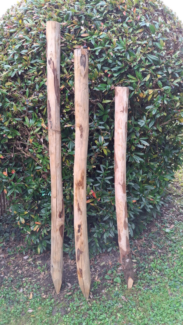 Piquets pointés 7,5-10cm posés