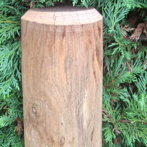 Poteau soutien portillons