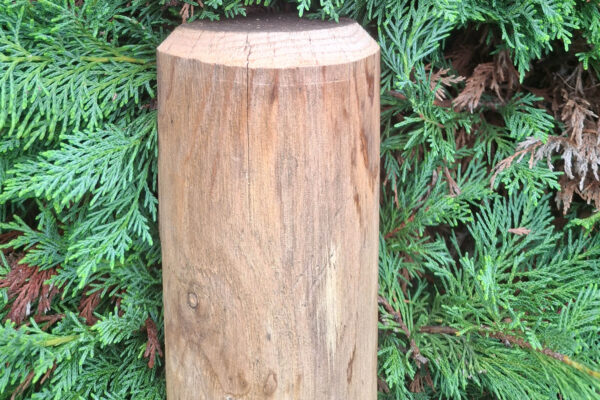 Poteau soutien portillons