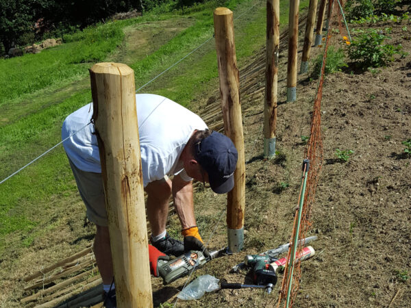 Poteaux supports enfoncer durable