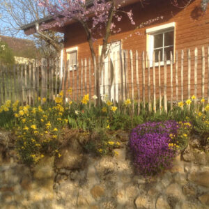 Ganivelle fendue écart 5cm