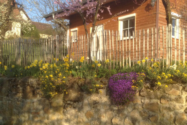 Ganivelle fendue écart 5cm