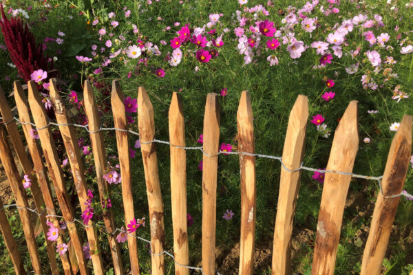 Ganivelle fendue écart 5cm