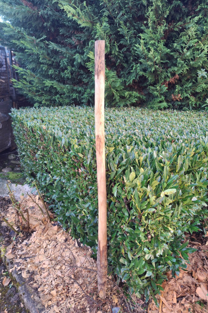 Tuteur 4-6cm