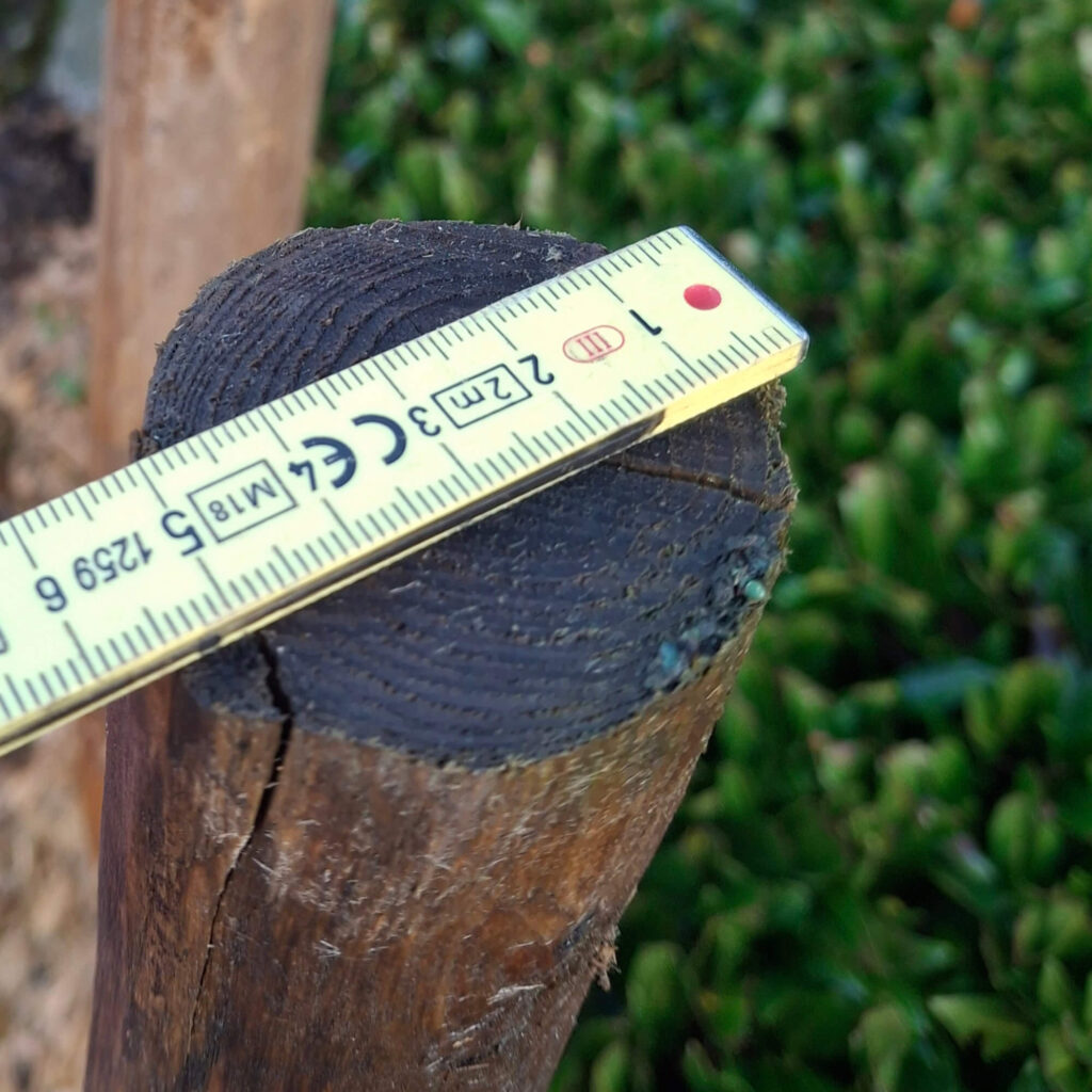 Tuteur 4-6cm